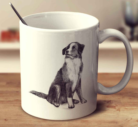 Nova Scotia Duck Tolling Retriever Sketch