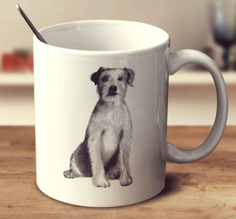 Parson Russell Terrier Sketch