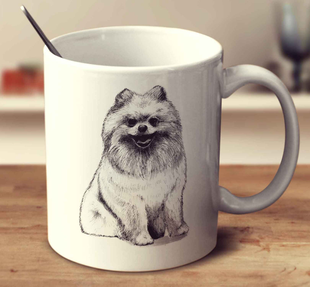 Pomeranian Sketch