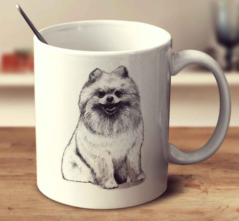 Pomeranian Sketch