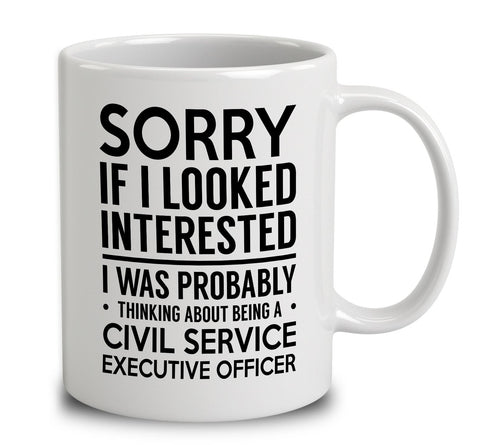 Probably Thinking About Being A Civil Service Executive Officer