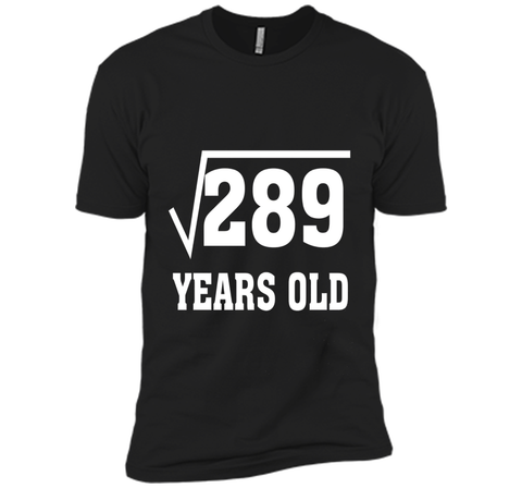 Square Root Of 289 Funny 17 Years Old T-Shirt 17th Birthday