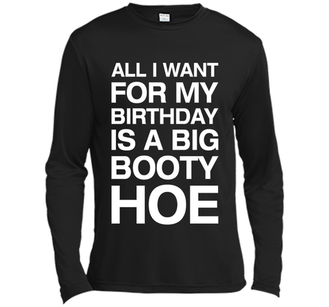 All I Want For My Birthday Is A Big Booty Hoe Funny Shirt