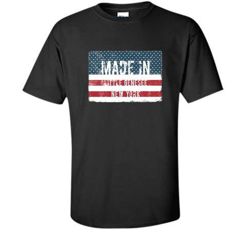 Made in Little Genesee, New York T-shirt