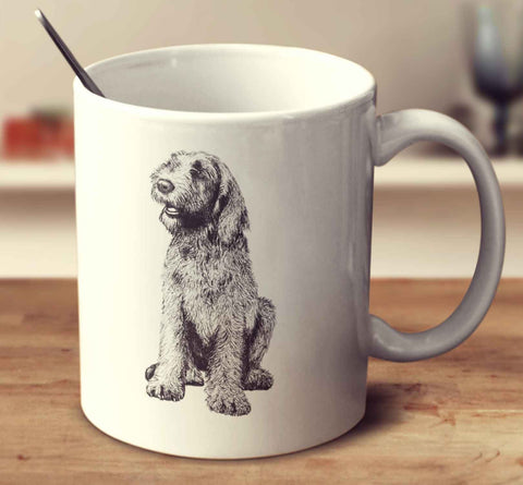 Spinone Italiano Sketch