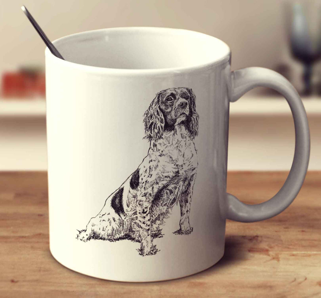 Springer Spaniel Sketch