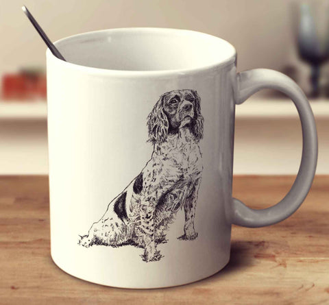 Springer Spaniel Sketch