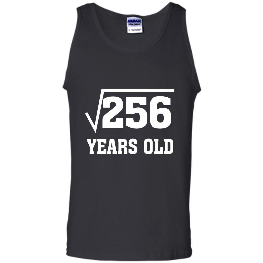 Square Root Of 256 Funny 16 Years Old T-Shirt 16th Birthday