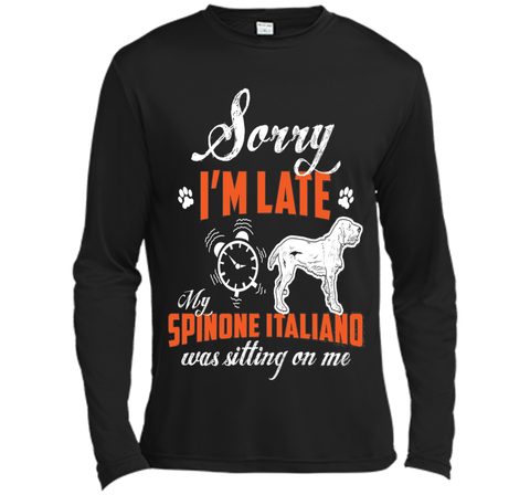 My Spinone Italiano Was Sitting On Me T-Shirt