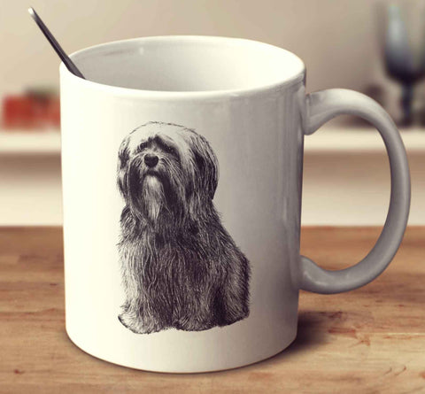 Tibetan Terrier Sketch