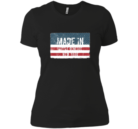 Made in Little Genesee, New York T-shirt