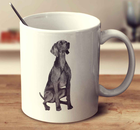 Weimaraner Sketch