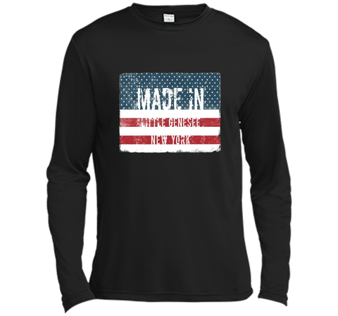 Made in Little Genesee, New York T-shirt