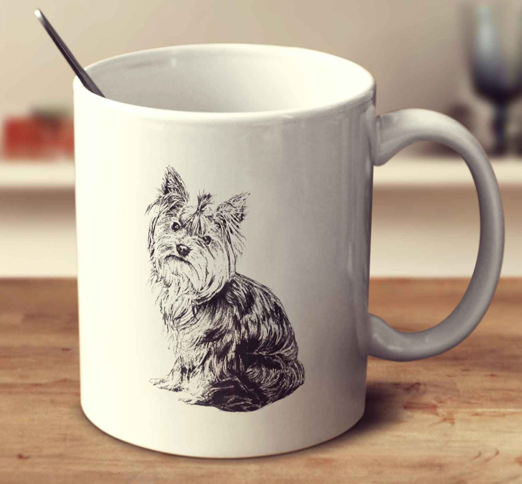Yorkshire Terrier Sketch
