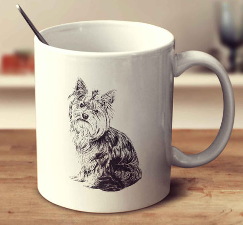Yorkshire Terrier Sketch